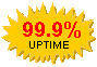 99.9% uptime cpanel hosting